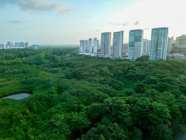 Efficacité énergétique : les secrets d'une maison éco-responsable