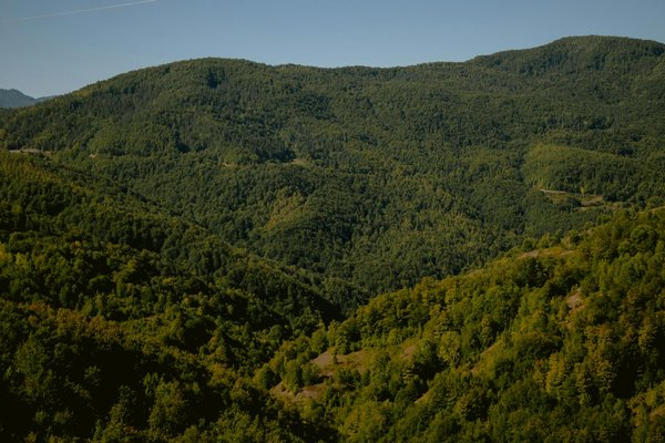 Taxi confortable à lamorlaye : votre trajet en toute sérénité